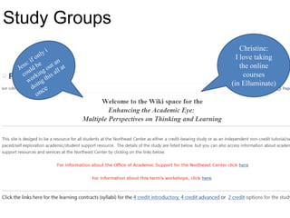 Study Groups
Christine:
I love taking
the online
courses
(in Elluminate)
 