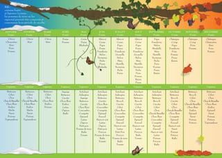 NB :
certains fruits
et légumes (comme
les pommes de terre ou les
oignons) peuvent être conservés et
consommés hors période de récolte.

 JANVIER             FEVRIER            MARS          AVRIL          MAI              JUIN          JUILLET          AOUT         SEPTEMBRE           OCTOBRE           NOVEMBRE            DECEMBRE
   Fruits             Fruits            Fruits        Fruits         Fruits           Fruits          Fruits         Fruits          Fruits             Fruits            Fruits              Fruits
    Citron              Citron           Citron        Fraise        Cerise           Abricot        Abricot        Abricot           Figue            Châtaigne           Châtaigne          Châtaigne
  Clémentine             Kiwi             Kiwi        Pomme          Fraise            Cerise         Cerise         Cerise         Framboise            Coing               Coing            Clémentine
     Kiwi                                                           Rhubarbe           Figue          Figue          Figue            Melon              Figue               Poire               Kiwi
     Poire                                                                             Fraise         Fraise         Fraise         Mirabelle          Framboise            Pomme                Poire
   Pomme                                                                             Framboise      Framboise      Framboise          Mûre               Poire                                 Pomme
                                                                                       Melon        Groseille      Groseille         Myrtille           Pomme
                                                                                     Nectarine        Melon          Melon          Nectarine            Prune
                                                                                       Pêche          Mûre           Mûre             Pêche              Raisin
                                                                                       Prune         Myrtille       Myrtille          Poire
                                                                                     Rhubarbe       Nectarine      Nectarine         Pomme
                                                                                                      Pêche          Pêche            Prune
                                                                                                      Prune          Poire            Raisin
                                                                                                                    Pomme
                                                                                                                     Raisin
                                                                                                                     Prune
  Légumes             Légumes           Légumes      Légumes        Légumes          Légumes         Légumes        Légumes          Légumes            Légumes            Légumes             Légumes
   Betterave           Betterave         Betterave    Asperge       Artichaut        Artichaut      Artichaut       Artichaut        Artichaut        Artichaut            Betterave           Betterave
     Céleri              Céleri            Céleri    Betterave      Aubergine        Aubergine      Aubergine      Aubergine        Aubergine          Betterave            Brocoli              Céleri
     Chou                Chou              Chou       Carotte        Asperge          Betterave     Betterave       Betterave        Betterave          Brocoli              Céleri              Chou
Chou de Bruxelles   Chou de Bruxelles   Chou-fleur   Chou-fleur      Betterave         Carotte       Brocoli         Brocoli          Brocoli           Carotte              Chou           Chou de Bruxelles
  Chou-fleur          Chou-fleur          Endive      Endive          Carotte        Chou-fleur      Carotte         Carotte          Carotte            Céleri         Chou de Bruxelles     Chou-fleur
    Endive              Endive            Poireau     Laitue        Chou-fleur      Concombre         Céleri          Céleri           Céleri            Chou             Chou-fleur            Endive
    Mâche               Mâche                         Oignon       Concombre         Courgette      Chou-fleur     Chou-fleur          Chou         Chou de Bruxelles       Endive             Epinard
     Navet               Navet                         Radis        Courgette         Epinard      Concombre       Concombre      Chou de Bruxelles   Chou-fleur           Epinard               Navet
    Poireau             Poireau                                      Epinard           Fenouil      Courgette       Courgette       Chou-fleur        Courgette              Navet              Poireau
 Topinambour         Topinambour                                      Laitue        Haricot vert     Epinard         Epinard        Concombre          Epinard              Poireau             Potiron
                                                                      Oignon           Laitue        Fenouil         Fenouil         Courgette          Fenouil             Potiron          Topinambour
                                                                     Petit pois        Oignon      Haricot vert    Haricot vert       Epinard        Haricot vert
                                                                  Pomme de terre      Petit pois      Laitue          Laitue          Fenouil            Navet
                                                                       Radis          Poivron       Petit Pois       Poivron       Haricot vert         Poireau
                                                                      Tomate       Pomme de terre    Poivron          Radis            Laitue           Potiron
                                                                                        Radis     Pomme de terre     Tomate           Poireau            Radis
                                                                                       Tomate         Radis                           Poivron
                                                                                                     Tomate                            Radis
 