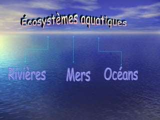 Écosystèmes aquatiques Rivières Mers Océans 
