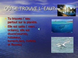 OÚ SE TROUVE L´EAU? Tu trouves l´eau partout sur la planète. Elle est salée ( mers , océans), elle est douce(sources, ruisseaux, torrents,lacs, rivières et fleuves) 