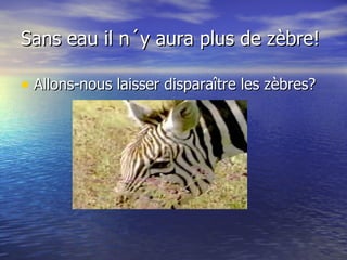 Sans eau il n´y aura plus de zèbre! Allons-nous laisser disparaître les zèbres? 
