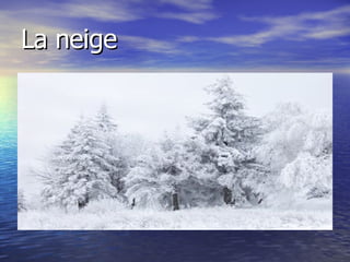 La neige 