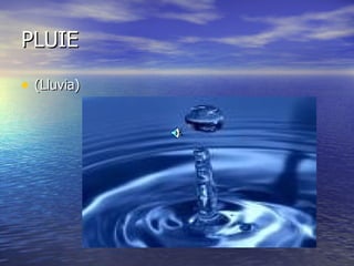 PLUIE (Lluvia) 