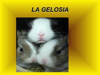LA GELOSIA

 