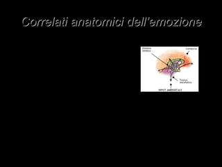 Correlati anatomici dell’emozione
Le recenti evidenze neuropsicologiche
hanno mostrato quali aree cerebrali sono
maggiormente coinvolte nella mediazione
dei fenomeni emotivi e, grazie al
contributo di P. Salovey e J. Mayer, nel
1990 è stata elaborata la concezione
dell'Intelligenza Emotiva, diffusa poi da
D. Goleman che ha approfondito il
rapporto tra mente razionale e mente
emozionale, in cui si possono cogliere i
presupposti del contributo fornito
dall'Intelligenza Emotiva al benessere
psicologico.
Infatti, come si può osservare nella
seguente sezione cerebrale, le basi
anatomiche delle emozioni sono
rintracciabili nelle strutture più primitive e
più interne localizzate nel sistema limbico,
a cui giungono gli input ambientali prima di
raggiungere le aree superiori della
corteccia coinvolte, a seconda del compito
di adattamento richiesto, in modo diverso.

Rapporti tra input ambientale,
aree anatomiche della mente
razionale e strutture
anatomiche della mente
emozionale.

 