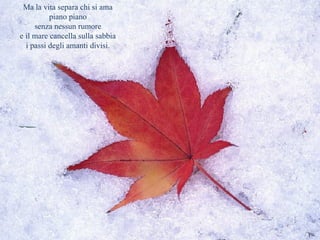 Ma la vita separa chi si ama 
piano piano 
senza nessun rumore 
e il mare cancella sulla sabbia 
i passi degli amanti divisi. 
 