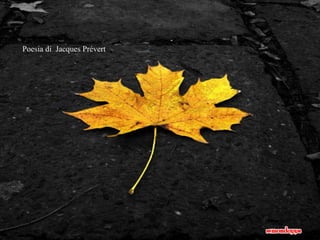 Poesia di Jacques ʰé 
 