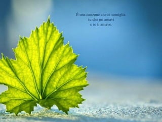 È una canzone che ci somiglia. 
tu che mi amavi 
e io ti amavo. 
 