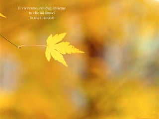 E vivevamo, noi due, insieme 
tu che mi amavi 
io che ti amavo 
 