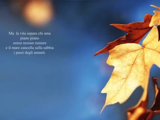 Ma la vita separa chi ama 
piano piano 
senza nessun rumore 
e il mare cancella sulla sabbia 
i passi degli amanti. 
 
