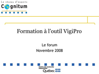 Formation à l’outil VigiPro  Le forum Novembre 2008 