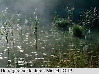 Un regard sur le Jura - Michel LOUP photographe 
