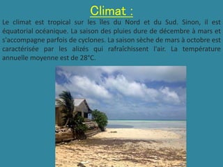 Climat :
Le climat est tropical sur les îles du Nord et du Sud. Sinon, il est
équatorial océanique. La saison des pluies dure de décembre à mars et
s'accompagne parfois de cyclones. La saison sèche de mars à octobre est
caractérisée par les alizés qui rafraîchissent l'air. La température
annuelle moyenne est de 28°C.
 