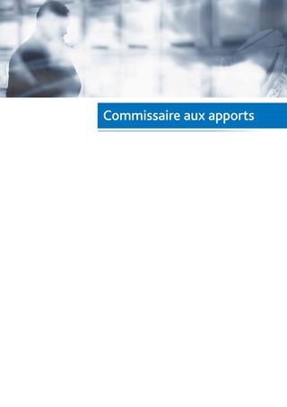 Commissaire aux apports
 