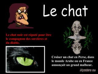 Le chat Le chat noir est réputé pour être le compagnon des sorcières et du diable. Croiser un chat en Perse, dans le monde Arabe ou en France annonçait un grand malheur. 