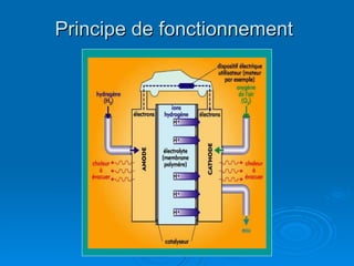 Principe de fonctionnement 