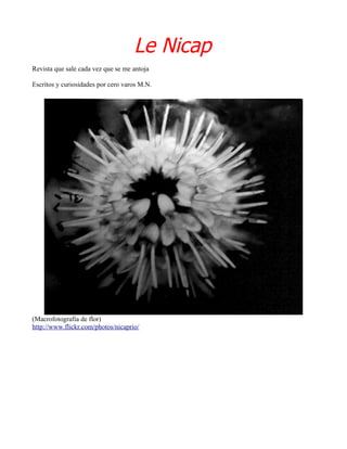 Le Nicap
Revista que sale cada vez que se me antoja

Escritos y curiosidades por cero varos M.N.




(Macrofotografía de flor)
http://www.flickr.com/photos/nicaprio/
 