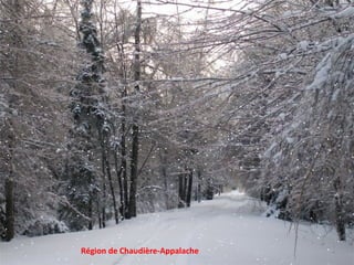 Région de Chaudière-Appalache 