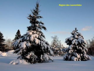 Région des Laurentides 