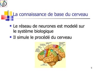 La connaissance de base du cerveau Le réseau de neurones est modelé sur le système biologique Il simule le procédé du cerveau 