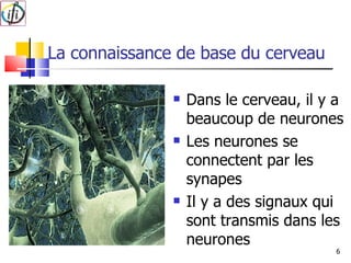 La connaissance de base du cerveau Dans le cerveau, il y a beaucoup de neurones Les neurones se connectent par les synapes Il y a des signaux qui sont transmis dans les neurones 