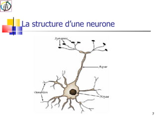 La structure d’une neurone 