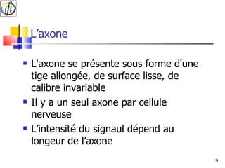 L’axone L'axone se présente sous forme d'une tige allongée, de surface lisse, de calibre invariable Il y a un seul axone par cellule nerveuse L’intensité du signaul dépend au longeur de l’axone 