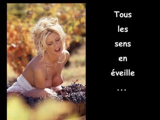 Tous les sens en éveille ...   