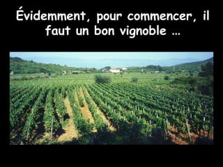 Évidemment, pour commencer, il faut un bon vignoble  ... 