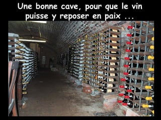 Une bonne cave, pour que le vin puisse y reposer en paix . .. 