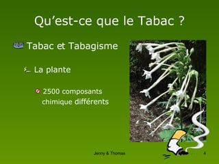Qu’est-ce que le Tabac ? Tabac et Tabagisme La plante 2500 composants  chimique  différents 