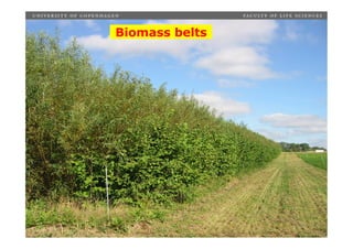 SustainabilityBiomass
              evaluation           belts




Place, date, unit, occasion etc.
Slide 5
 