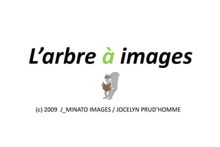 L’arbre à images
(c) 2009 J_MINATO IMAGES / JOCELYN PRUD’HOMME
 