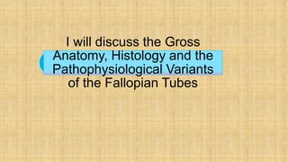 I will discuss the Gross
Anatomy, Histology and the
Pathophysiological Variants
of the Fallopian Tubes
 