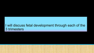 I will discuss fetal development through each of the
3 trimesters
 