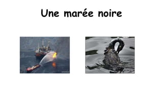 Une marée noire

 