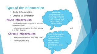 Inflammation Decoded: From Acute Immune Response to Chronic Disease ...