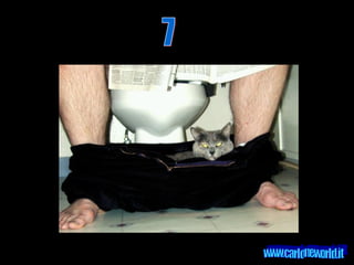 7 www.carloneworld.it 