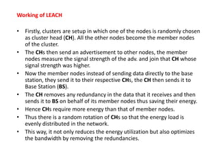 Leach | PPTX