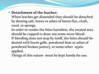  Detachment of the leaches:
When leaches get distended they should be detached
by dusting salt, borax or ashes of burnt flax, cloth,
wool, or sponge.
In order to render the bites harmless, the treated area
should be cupped to draw out some more blood.
If bleeding does not stop by itself, the bites should be
dusted with burnt galls, powdered lime or ashes of
powdered broken pottery, or some other syptic
applied.
Things of this nature must be kept handy for use.
 
