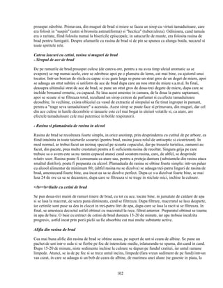 proaspat zdrobite. Primavara, din muguri de brad si miere se facea un sirop cu virtuti tamaduitoare, care
era folosit in "suspin" (astm si bronsita astmatiforma) si "hectica" (tuberculoza). Odinioara, cand tamaia
era o raritate, fiind folosita numai la bisericile episcopale, in satucurile de munte, era folosita rasina de
brad pentru fumigatii. Despre afumarile cu rasina de brad si de pin se spunea ca alunga boala, necazul si
toate spiritele rele.

Cateva leacuri cu cetini, rasina si muguri de brad
- Siropul de ace de brad

De pe ramurile de brad proaspat culese (de cateva ore, pentru a nu avea timp uleiul aromatic sa se
evapore) se rup numai acele, care se zdrobesc apoi pe o planseta de lemn, cat mai bine, cu ajutorul unui
tocator. Intr-un borcan de sticla cu capac si cu gura larga se pune un strat gros de un deget de miere, apoi
se adauga un strat subtire si uniform de ace de brad dupa care un nou strat de miere s.a.m.d. In final,
deasupra ultimului strat de ace de brad, se pune un strat gros de doua-trei degete de miere, dupa care se
inchide borcanul ermetic, cu capacul. Se lasa acest amestec in camara, de la doua la patru saptamani,
apoi se scoate si se filtreaza totul, rezultand un sirop extrem de parfumat si cu efecte tamaduitoare
deosebite. In vechime, exista obiceiul ca vasul de extractie al siropului sa fie tinut ingropat in pamant,
pentru a "trage seva tamaduitoare" a acestuia. Acest sirop se poate face si primavara, din muguri, dar cel
din ace culese in lunile decembrie si ianuarie este cel mai bogat in uleiuri volatile si, ca atare, are
efectele tamaduitoare cele mai puternice in bolile respiratorii.

- Rasina si plamadeala de rasina in alcool

Rasina de brad se recolteaza foarte simplu, in orice anotimp, prin desprinderea cu cutitul de pe arbore, ea
fiind intalnita in toate taieturile scoartei (pentru brad, rasina joaca rolul de antiseptic si cicatrizant). In
mod normal, ar trebui facut un rezinaj special pe scoarta copacului, dar pe traseele turistice, oamenii au
facut, din pacate, prea multe crestaturi pentru a fi suficienta rasina de recoltat. Singura grija pe care
trebuie sa o avem este sa nu ranim copacul atunci cand scoatem rasina, care, de altfel, se desprinde
relativ usor. Rasina poate fi consumata ca atare sau, pentru a proteja dantura (substantele din rasina ataca
smaltul dintilor), poate fi preparata cu alcool. Plamadeala de rasina se obtine foarte simplu: intr-un pahar
cu alcool alimentar de minimum 80¡ (altfel rasina nu se dizolva) se adauga trei-patru linguri de rasina de
brad, amestecand foarte bine, asa incat ea sa se dizolve perfect. Dupa ce s-a dizolvat foarte bine, se mai
lasa 24 de ore ca sa se decanteze, dupa care se filtreaza si se trage in sticlute mici, inchise la culoare.

</b><b>Baile cu cetini de brad

Se pun doua-trei maini de ramuri tinere de brad, cu tot cu ace, tocate bine, in jumatate de caldare de apa
si se lasa la macerat, de seara pana dimineata, cand se filtreaza. Dupa filtrare, maceratul se lasa deoparte,
iar cetinile sunt puse sa dea in clocot in trei-patru litri de apa, dupa care se lasa la racit si se filtreaza. In
final, se amesteca decoctul astfel obtinut cu maceratul la rece, filtrat anterior. Preparatul obtinut se toarna
in apa de baie. O baie cu extract de cetini de brad dureaza 15-20 de minute, iar apa trebuie incalzita
progresiv, astfel incat prin porii pielii sa fie absorbite cat mai multe substante active.

Alifia din rasina de brad

Cea mai buna alifie din rasina de brad se obtine acasa, pe suport de unt si ceara de albine. Se pune un
pachet de unt intr-o oala si se fierbe pe foc de intensitate medie, inlaturandu-se spuma, din cand in cand.
Dupa 15-20 de minute, niste sedimente inchise la culoare se depun pe fundul cratitei, iar untul ramane
limpede. Atunci, se ia de pe foc si se trece untul incins, limpede (fara vreun sediment de pe fund) intr-un
vas curat, in care se adauga si un bob de ceara de albine, de marimea unei alune (se gaseste in piata, la


                                                      102
 
