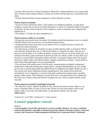 • Se face infuzie din flori si frunze de paducel. Paducelul e o planta puternica si nu se pun multe
flori si frunze cand se prepara infuzia. Aceasta are un efect mai bun daca are o concentratie mai
slaba.
• Se face infuzie din fructe uscate de paducel si se bea indulcita cu miere.

Pentru scaderea tensiunii
• Se pun la uscat ciorchini de caline. Cand calinele s-au stafidit pe jumatate, se culeg de pe
crengute si se pun intr-un borcan in straturi alternative cu zahar tos. Straturile trebuie sa fie egale
in grosime. Se lasa o luna la macerat, la loc intunecos, si apoi se mananca cate o lingurita din
preparat pe zi.
• Se mananca 1-2 boabe de caline proaspete pe zi.

Pentru tratarea ranilor si a arsurilor
• Se pune pe arsura cartof crud, ras marunt. Se schimba cartoful in momentul in care s-a incalzit.
Cartoful trebuie sa fie cat mai rece, ca sa calmeze durerea arsurii.
• Se parg basicile facute de arsura cu un ac inrosit in foc si se spala locul ars cu infuzie de
musetel sau coada-soricelului.
• Se spala arsura cu infuzie de musetel si se unge cu alifie obtinuta astfel: se amesteca 100 ml
tuica naturala, fiarta de doua ori, cu 100 ml ulei rafinat si 2 lingurite de zahar, o bucata cat o
nuca de ceara de albine si cu 2 bobite de tamaie. Se pun toate intr-un vas, la foc foarte mic, si se
amesteca incontinuu, pana cand tuica le dizolva pe toate si se obtine o alifie. Se lasa alifia sa se
raceasca si se poate folosi atat pentru tratarea arsurilor, cat si pentru tratarea altor boli de piele.
Inainte de a aplica alifia, locul afectat trebuie, neaparat, spalat bine cu infuzie. Aceasta alifie se
poate folosi timp indelungat si nu are contraindicatii.
• Cea mai buna alifie pentru arsuri si boli de piele, renumita pentru rezultatele exceptionale
probate prin vindecarile obtinute de-a lungul anilor, o prepara Ghizela Balint, pe care o puteti
gasi la casa ei asezata langa podul din spatele bisericii evanghelice din Zagon. Reteta, pe care o
tine secreta (este foarte importanta dozarea ingredientelor, orice abatere de la reteta este
periculoasa), are in compozitie, in cea mai mare parte, produse ale stupului (miere, propolis,
pastura, polen, mana). Tanti Ghizela are acum 90 de ani si a mostenit reteta de la o farmacista
din Cluj, care a tratat-o acum mai bine de o jumatate de veac, cand si-a oparit mainile cu apa
clocotita.

Pentru pastrarea sanatatii si prelungirea tineretii
• Se culeg flori, frunze, radacini de plante de leac, din cele mai diverse soiuri. Dupa ce s-au
uscat, se amesteca bine si se bea, in loc de apa, infuzie rece din aceste plante. Iarna se bea
infuzie calda. Cu cat sunt mai multe plante, cu atat puterea infuziei este mai mare.
Otilia Teposu

Formula AS > Anul 2004 > Numarul 615 > Forma maxima

Leacuri populare rusesti
Redactia
Leacuri populare rusesti. Din experienta de veacuri a taranilor siberieni . In vreme ce medicina
naturista din Romania e ingradita si amenintata prin legi, impinsa sistematic in umbra, constransa
sa joace rolul Cenusaresei, medicina populara din Rusia este recunoscuta oficial. Continuand


                                                  23
 