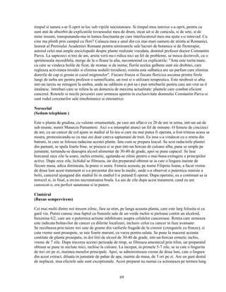 timpul si natura s-ar fi oprit in loc sub vipiile necrutatoare. Si timpul meu interior s-a oprit, pentru ca
sunt atat de absorbit de explicatiile tovarasului meu de drum, incat uit si de canicula, si de sete, si de
mine insumi, transpunandu-ma in lumea fascinanta pe care interlocutorul meu ma ajuta s-o intrevad. Cu
cine ma plimb prin campul cu flori? Calauza mea e unul din cei mai mari oameni de stiinta ai Romaniei,
laureat al Premiului Academiei Romane pentru uimitoarele sale lucrari de botanica si de fitoterapie,
autorul celei mai ample enciclopedii despre plante realizate vreodata, domnul profesor doctor Constantin
Parvu. La saptezeci si trei de ani, arsita verii nu-i ridica nici un fel de probleme, se misca dezinvolt, cu o
sprinteneala incredibila, merge de la o floare la alta, necontenind cu explicatiile: "Asta este turita mare,
cu care se vindeca bolile de ficat, de stomac si de inima; florile acelea galbene sunt ale drobitei, care
regleaza activitatea tiroidei si elimina nodulii tiroidieni; roinita asta salbatica are un parfum care elimina
durerile de cap si greata in cazul migrenelor". Fiecare frunza si fiecare floricica ascunsa printre firele
lungi de iarba are pentru profesor o semnificatie, un rost si o utilizare terapeutica. Este neobosit si abia
intr-un tarziu ne retragem la umbra, unde ne odihnim si pot sa-i pun intrebarile pentru care am vrut sa il
intalnesc. Intrebari care se refera la un domeniu de maxima actualitate: plantele care combat eficient
cancerul. Retetele si micile povestiri care urmeaza apartin in exclusivitate domnului Constantin Parvu si
sunt rodul cercetarilor sale etnobotanice si etnoiatrice:

Norocelul
(Sedum telephium )

Este o planta de gradina, cu valente ornamentale, pe care am aflat-o cu 20 de ani in urma, intr-un sat de
sub munte, numit Maneciu Pamanteni. Aici s-a intamplat atunci un fel de minune. O femeie de cincizeci
de ani, cu un cancer de col ajuns in stadiul al Iii-lea si care nu mai putea fi operata, a fost trimisa acasa sa
moara, pronosticandu-se ca mai are doar cateva saptamani de trait. Ea insa s-a vindecat cu o reteta din
batrani, in care se folosea radacina acestei plante. Iata cum se prepara leacul: Se scot radacinile plantei
din pamant, se spala foarte bine, se piseaza si se pun intr-un borcan de culoare alba, pana se umple pe
jumatate, turnandu-se deasupra alcool alimentar de 30-40 de grade, apoi se pune capacul. Se lasa
borcanul zece zile la soare, inchis ermetic, agitandu-se zilnic pentru o mai buna extragere a principiilor
active. Dupa zece zile, lichidul se filtreaza, iar din preparatul obtinut se ia cate o lingura inainte de
fiecare masa, adica dimineata, la pranz si seara. Femeia aceasta, pe nume Filipoiu Ioana, a facut vreme
de doua luni acest tratament si s-a prezentat din nou la medic, unde s-a observat o puternica remisie a
bolii, cancerul ajungand din stadiul Iii in stadiul I si putand fi operat. Dupa operatie, ea a continuat sa ia
norocel si, in final, a invins necrutatoarea boala. La ani de zile dupa acest tratament, cand eu am
cunoscut-o, era perfect sanatoasa si in putere.

Cimisirul
(Buxus sempervirens)

Cei mai multi dintre noi trecem zilnic, fara sa stim, pe langa aceasta planta, care este larg folosita si ca
gard viu. Putini cunosc insa faptul ca frunzele sale de un verde inchis si pieloase contin un alcaloid,
buxenina G2, care are o puternica actiune inhibitoare asupra celulelor canceroase. Reteta care urmeaza
este indicata bolnavilor de cancer cu diferite localizari, inclusiv celor cu cancer in faze avansate:
Se recolteaza prin taiere trei sute de grame din varfurile fragede de la cimisir (crengutele cu frunze), si
cata vreme sunt proaspete, se taie foarte marunt, ca varza pentru salata. Se pune la macerat aceasta
cantitate de planta proaspata, in doi litri de alcool de 30-40 de grade, intr-un borcan ermetic inchis,
vreme de 7 zile. Dupa trecerea acestei perioade de timp, se filtreaza amestecul prin tifon, iar preparatul
obtinut se pune in sticlute mici, inchise la culoare. La inceput, in primele 5-7 zile, se ia cate o lingurita
de trei ori pe zi, inaintea meselor principale. Apoi, se administreaza vreme de doua luni, cate o lingura
din acest extract, diluata in jumatate de pahar de apa, inainte de masa, de 3 ori pe zi. Are un gust destul
de neplacut, insa efectele sale sunt exceptionale. Acest preparat nu numai ca actioneaza pe termen lung


                                                      69
 