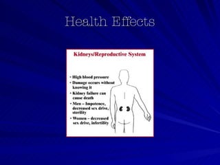 Health Effects 