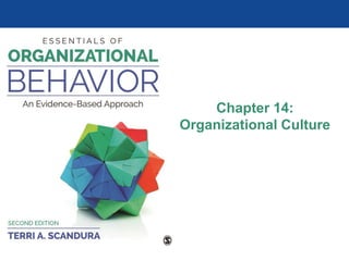 Chapter 14:
Organizational Culture
 