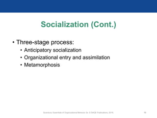 Socialization (Cont.)
• Three-stage process:
• Anticipatory socialization
• Organizational entry and assimilation
• Metamorphosis
Scandura, Essentials of Organizational Behavior 2e. © SAGE Publications, 2019. 13
 