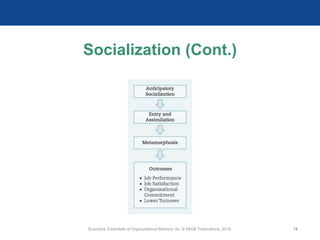 Socialization (Cont.)
Scandura, Essentials of Organizational Behavior 2e. © SAGE Publications, 2019. 14
 