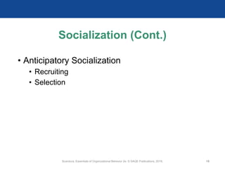 Socialization (Cont.)
• Anticipatory Socialization
• Recruiting
• Selection
Scandura, Essentials of Organizational Behavior 2e. © SAGE Publications, 2019. 15
 