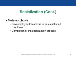 Socialization (Cont.)
• Metamorphosis
• New employee transforms to an established
contributor
• Completion of the socialization process
Scandura, Essentials of Organizational Behavior 2e. © SAGE Publications, 2019. 18
 