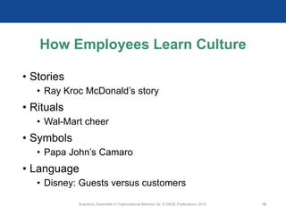 How Employees Learn Culture
• Stories
• Ray Kroc McDonald’s story
• Rituals
• Wal-Mart cheer
• Symbols
• Papa John’s Camaro
• Language
• Disney: Guests versus customers
Scandura, Essentials of Organizational Behavior 2e. © SAGE Publications, 2019. 19
 